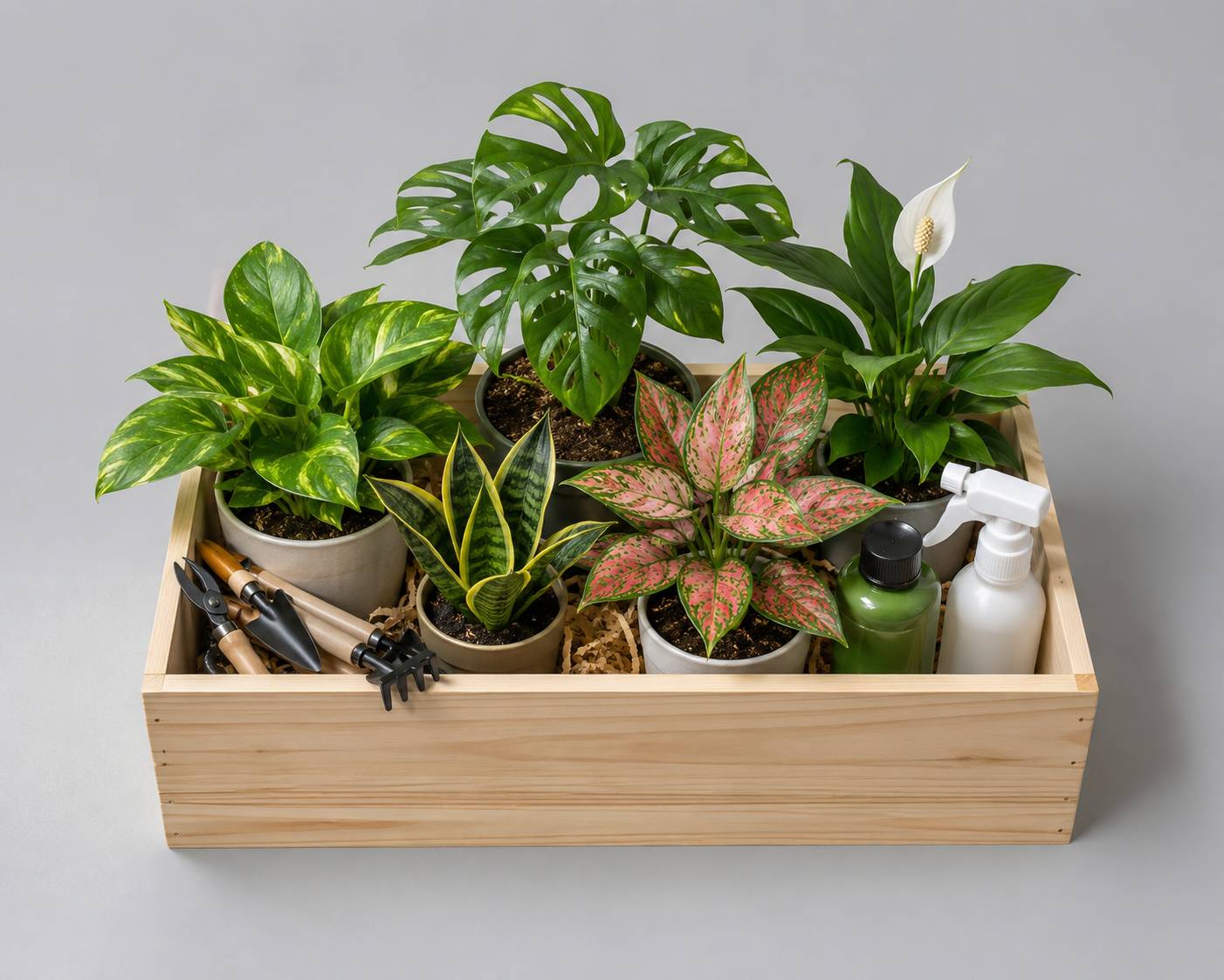 list item image